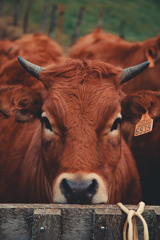Are you aware of the Countryside Code? - Hugginsattic