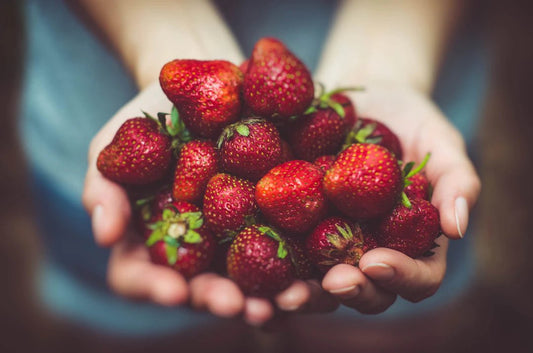 Crafting a Sustainable Food Storage System: Your Guide to Eco-Friendly Solutions - Hugginsattic