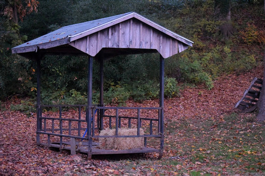 Finding the Perfect Spot for Your Bug-Out Shelter - Hugginsattic