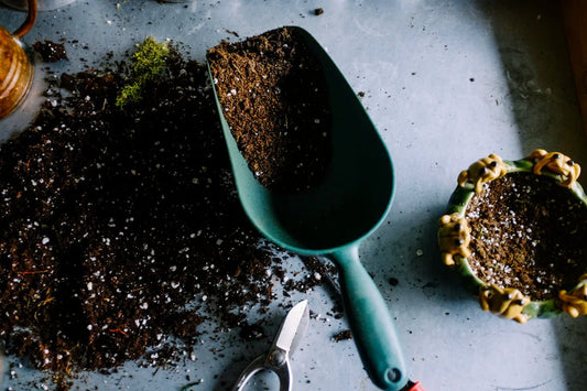 Grow Your Own Survival Food: A Preppers' Guide to Gardening - Hugginsattic