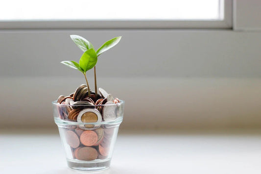 Smart Financial Strategies for Preppers - Hugginsattic