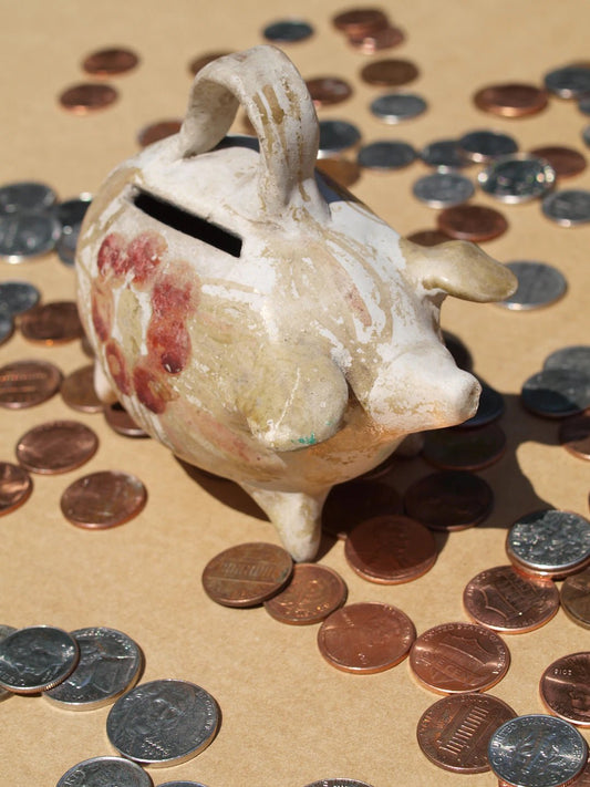 Start Your Prepping Journey on a Budget: A Practical Guide - Hugginsattic