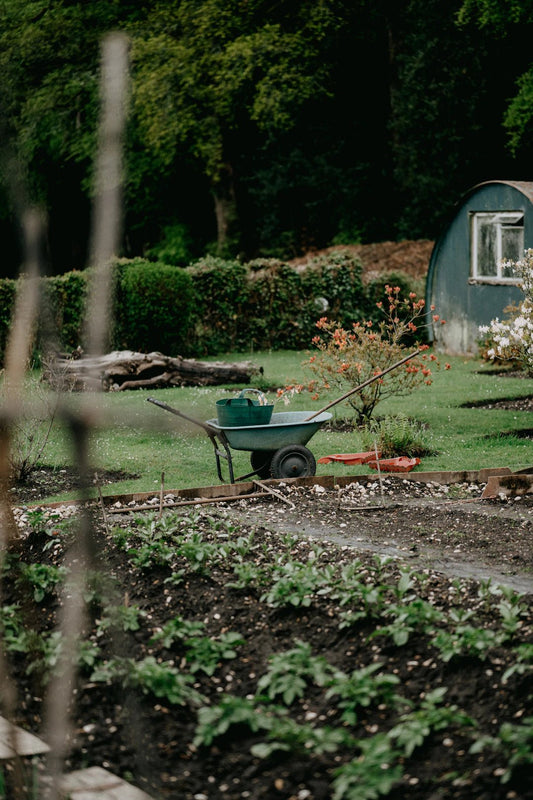 The Essential Role of Gardening for Preppers - Hugginsattic