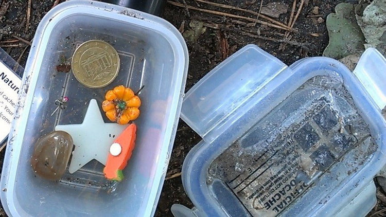 Assorted Geocache - Hugginsattic