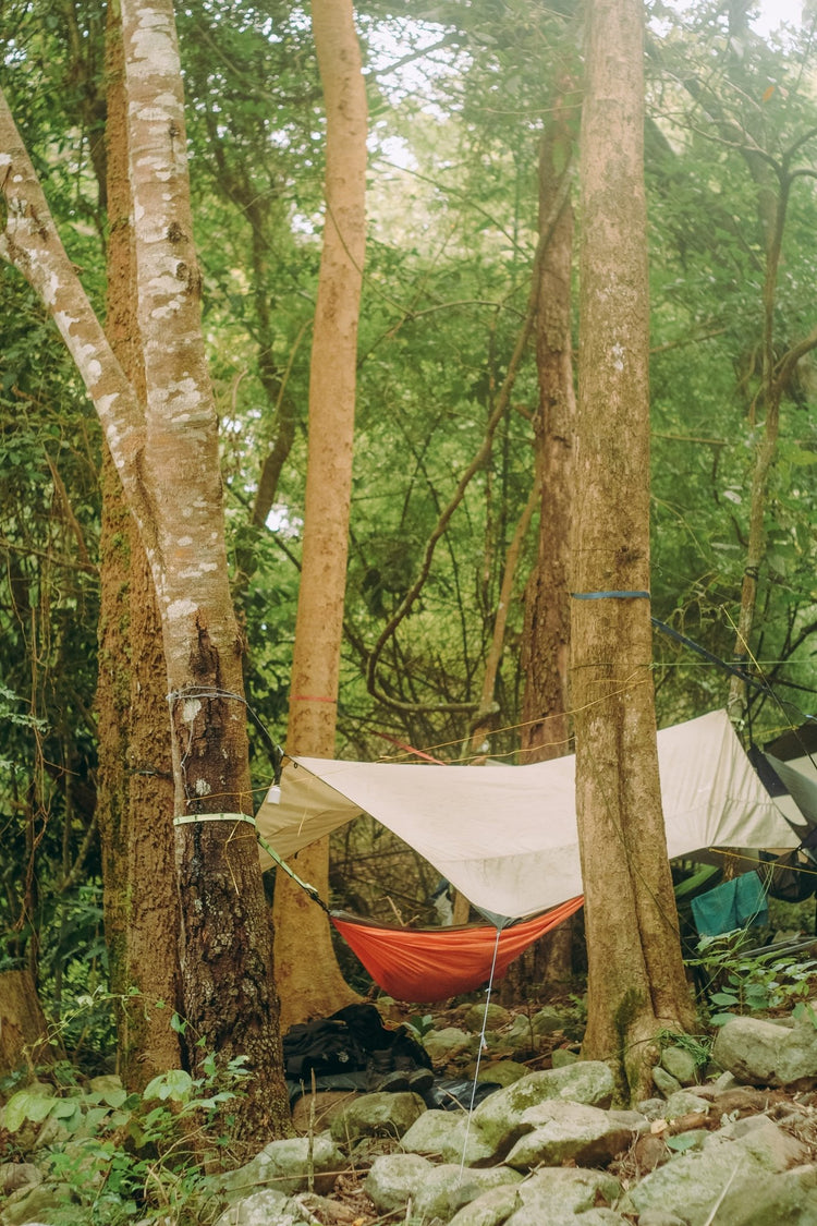 Shelter & Sleeping - Hugginsattic