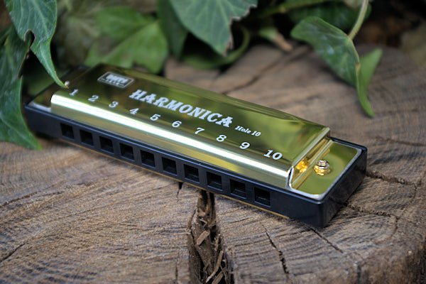 10 Note Harmonica in C ideal for around the campfire or anywhere you fancy Harmonica Hugginsattic Gold   [Huggins attic]