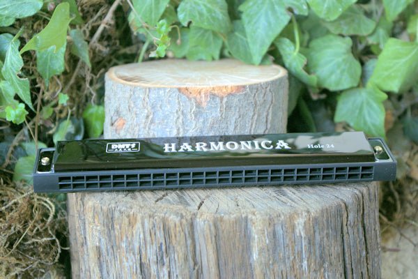 24 Note Harmonica Whether you're a seasoned musician or a beginner looking to explore the world of harmonicas Harmonica Hugginsattic Black   [Huggins attic]