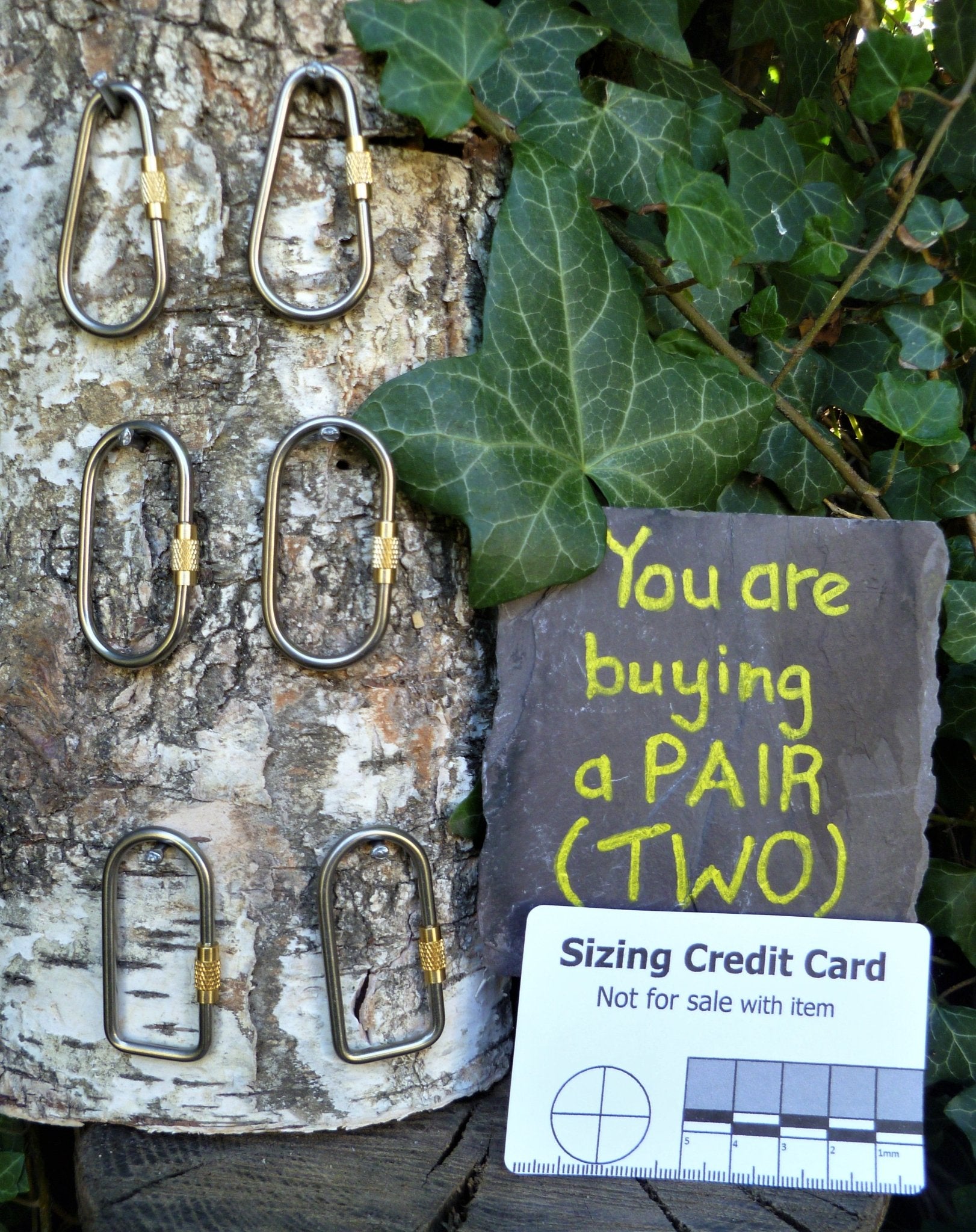 Pair of Small Titanium alloy Carabiners with 3 options. NOT FOR