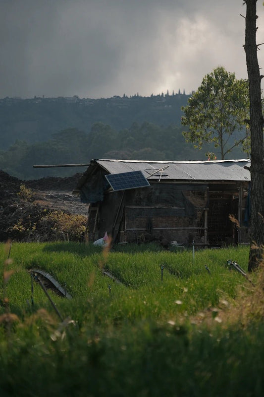 Homesteading Basics: Self-Sufficiency for Preppers - Hugginsattic