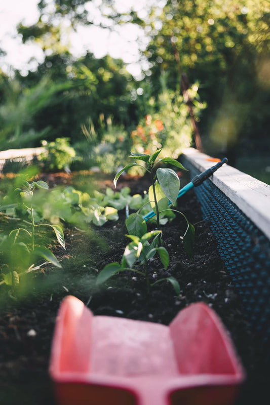Key Skills for Every Prepper's Self-Sufficiency Journey - Hugginsattic