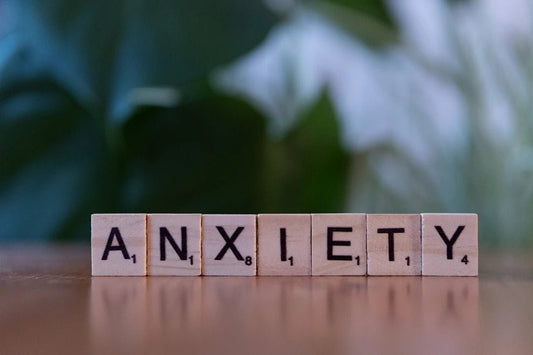 Mental Health and Prepping: Strategies for Coping - Hugginsattic