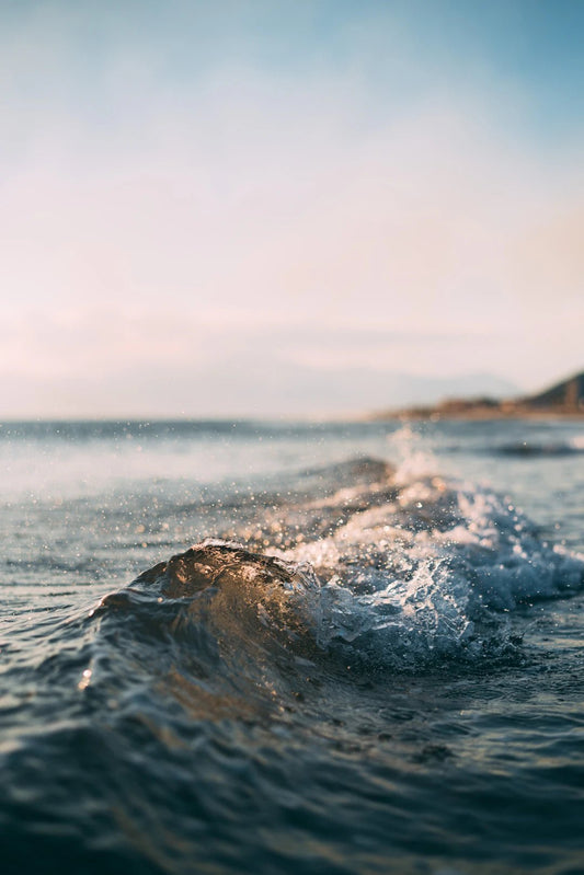Prepare for Anything: Understanding Natural Disasters and How to be Ready - Hugginsattic