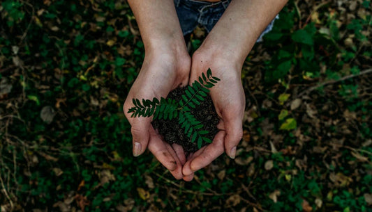 Sustainable Living: Integrating Prepping into Your Lifestyle - Hugginsattic