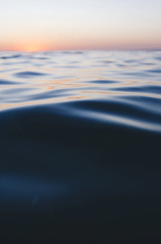 Top Water Storage Solutions for Preppers - Hugginsattic