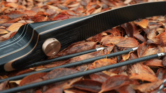 Versatile Carabiners for Everyday Use and Outdoor Adventures - Hugginsattic