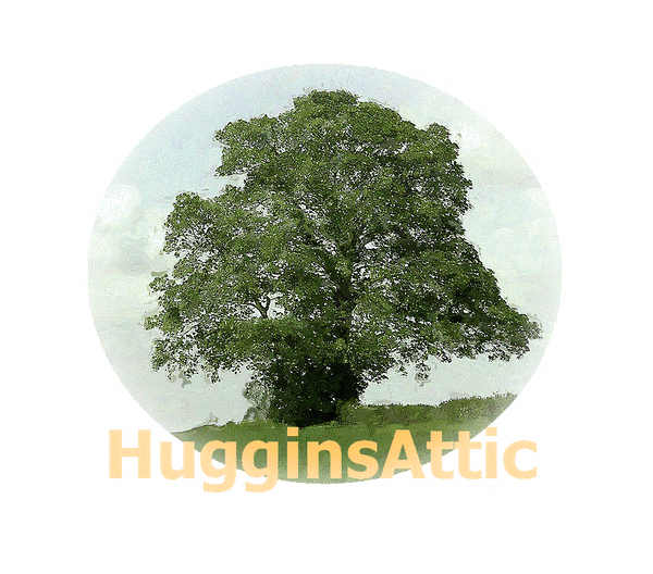 The hugginsattic transparent logo