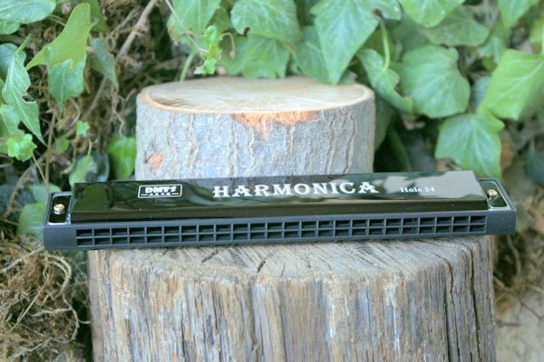 24 Note Harmonica Whether you're a musician Harmonica Hugginsattic Black   [Huggins attic]