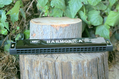 24 Note Harmonica Whether you're a musician Harmonica Hugginsattic Black   [Huggins attic]