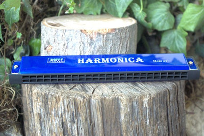 24 Note Harmonica Whether you're a musician Harmonica Hugginsattic Blue   [Huggins attic]