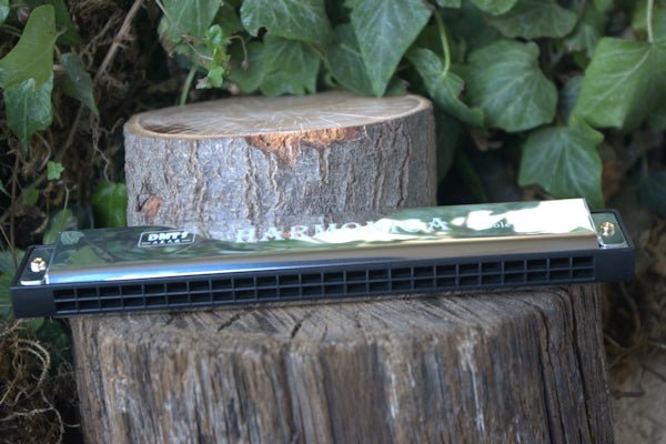 24 Note Harmonica in C for relaxation or leisure – Hugginsattic