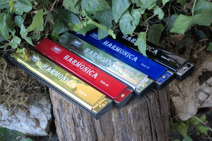 24 Note Harmonica Whether you're a musician Harmonica Hugginsattic    [Huggins attic]