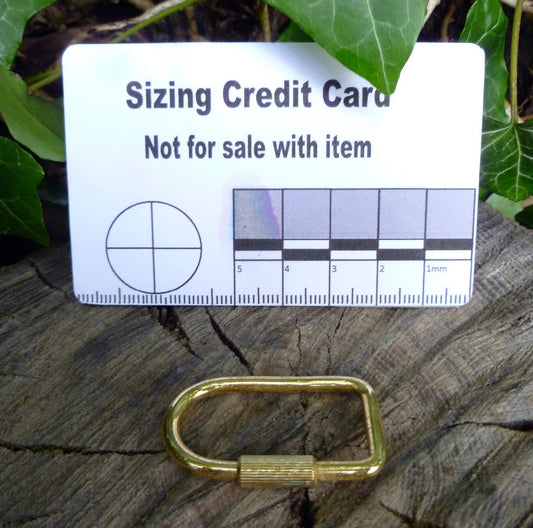 Brass D rings Screw gate Carabiner. NOT FOR CLIMBING or HEAVY WEIGHTS Carabiner Huggins Attic 1 - Ring   [Huggins attic]