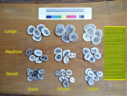 Large Antler Buttons - Round/Oval - 3 colours Buttons Huggins Attic    [Huggins attic]