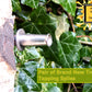 New Pair Stainless steel Birch tap sap spile spigot for Bushcraft or Foraging Sap Spile Huggins Attic    [Huggins attic]