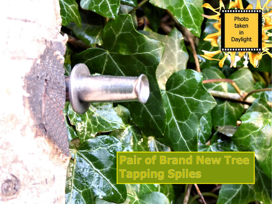 New Pair Stainless steel Birch tap sap spile spigot for Bushcraft or Foraging Sap Spile Huggins Attic    [Huggins attic]
