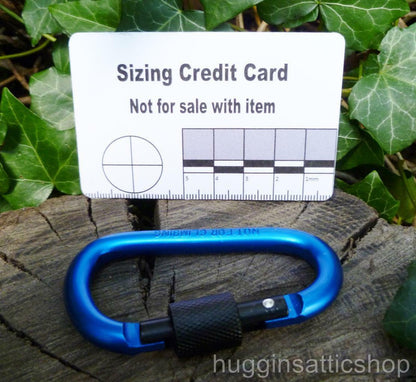 Pairs of Blue Screw gate Carabiners    . Carabiner Huggins Attic    [Huggins attic]