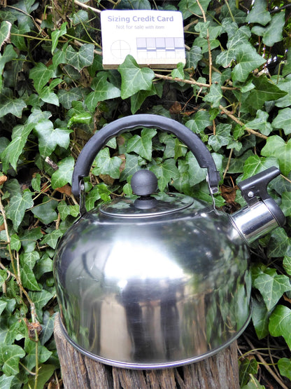 Stainless Steel 2L Whistling Kettle, lightweight Kettle Huggins Attic    [Huggins attic]